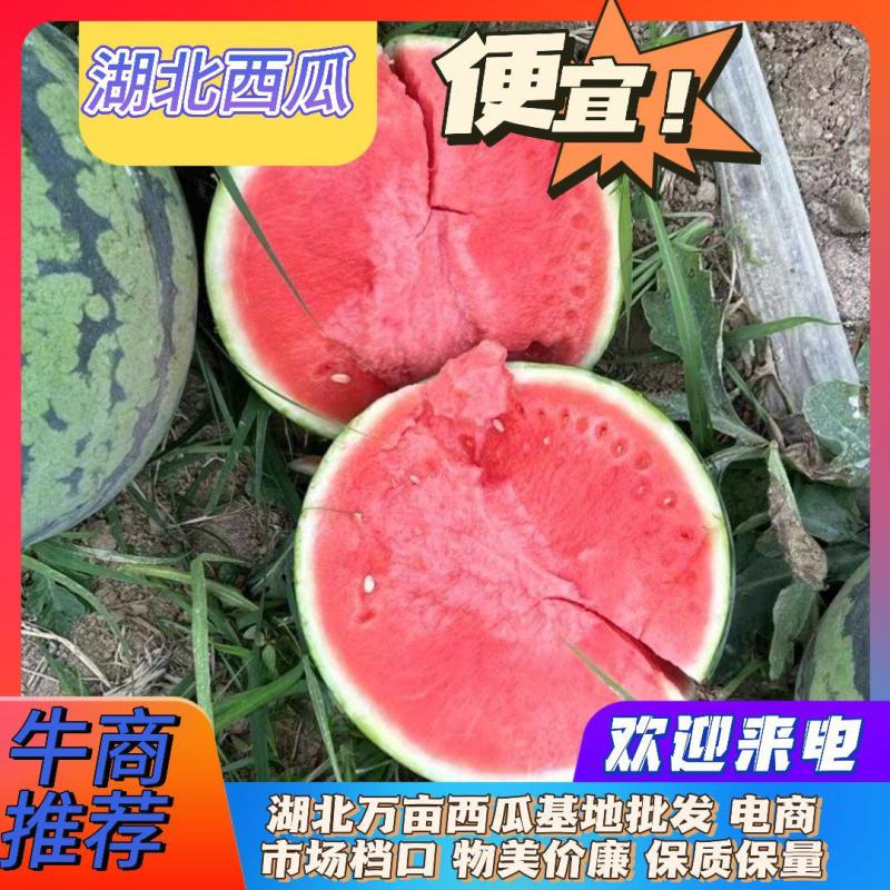 【特价推荐】湖北西瓜美都西瓜基地发货一手货源价格实惠