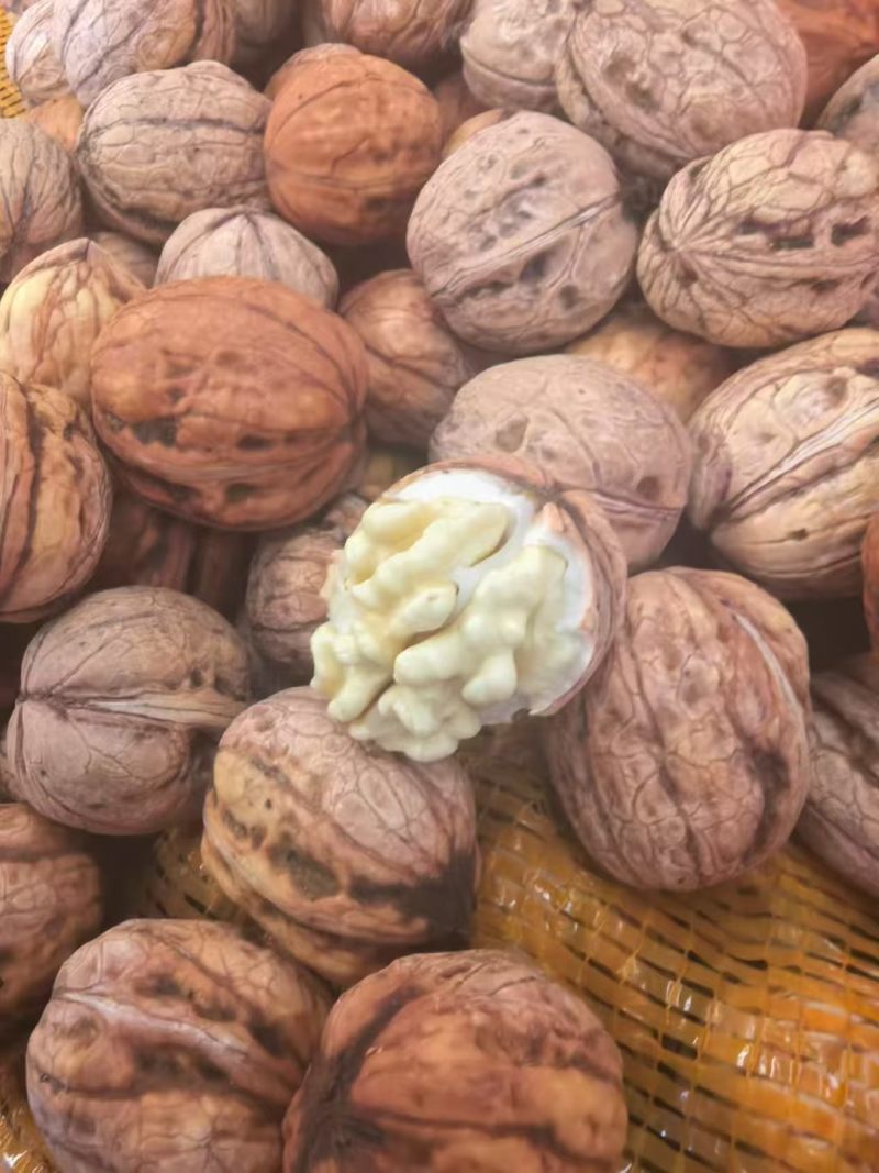 赞皇县灵寿县青皮核桃清香辽系香玲