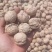 河北省赞皇县灵寿县薄皮核桃青皮核桃辽系清香