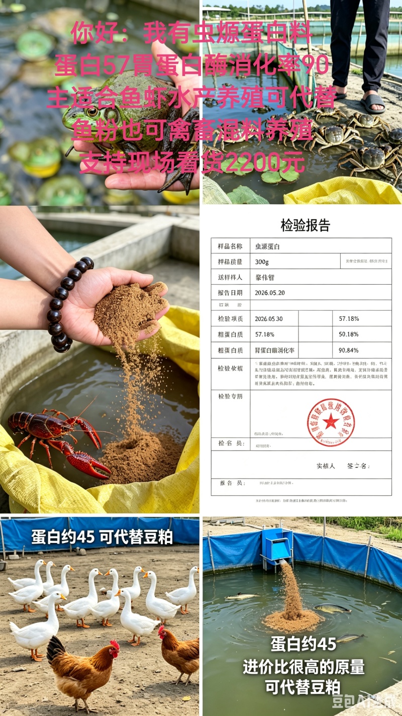 虫㷧蛋白料，适合鱼虾蟹水产蛋白57可吸收率90可直代饲料