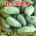 桂七芒
