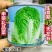 申荣礼品菜大白菜种子85天中晚熟山东大白菜种子高产秋季