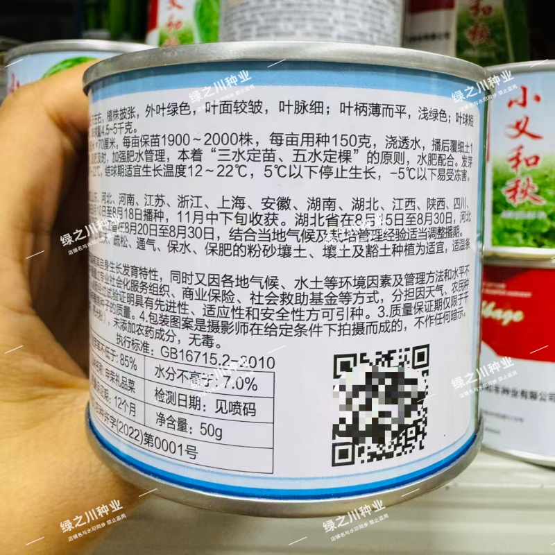 申荣礼品菜大白菜种子85天中晚熟山东大白菜种子高产秋季