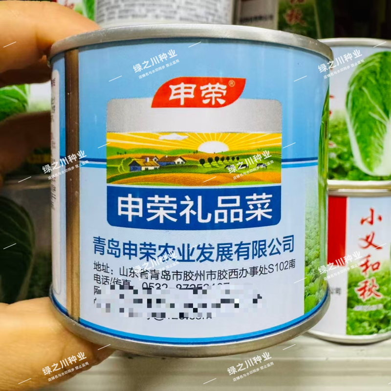 申荣礼品菜大白菜种子85天中晚熟山东大白菜种子高产秋季