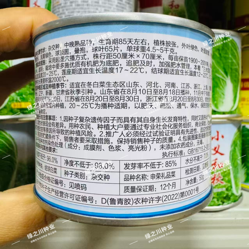 申荣礼品菜大白菜种子85天中晚熟山东大白菜种子高产秋季