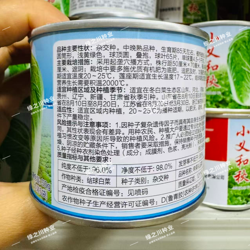 申荣礼品菜大白菜种子85天中晚熟山东大白菜种子高产秋季