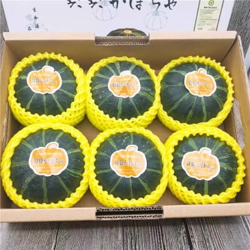 （贝贝南瓜）电商，市场，商超，全年供应，全国产区覆盖