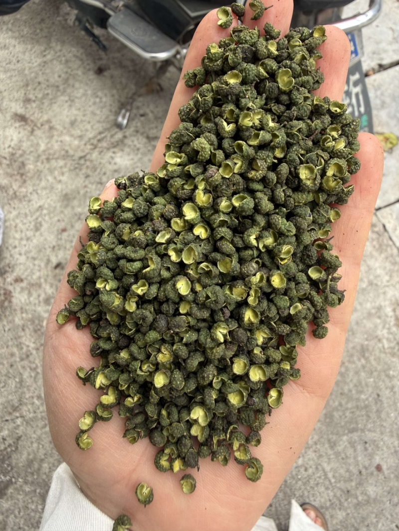 精品江津地区干青花椒一手货源全国发货量大价优欢迎