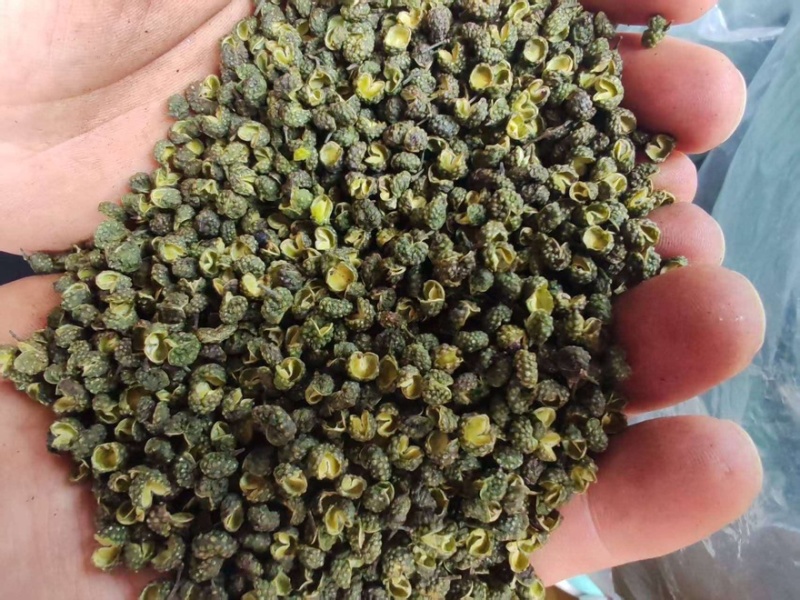 精品江津地区干青花椒一手货源全国发货量大价优欢迎