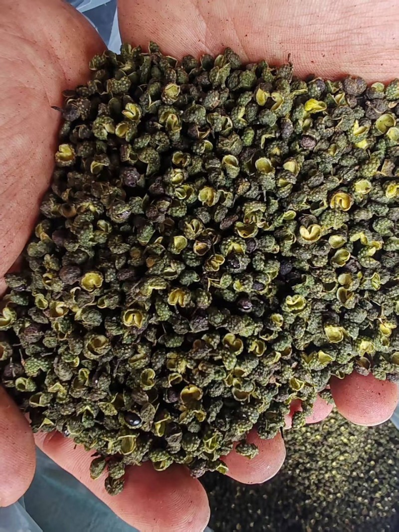 精品江津地区干青花椒一手货源全国发货量大价优欢迎