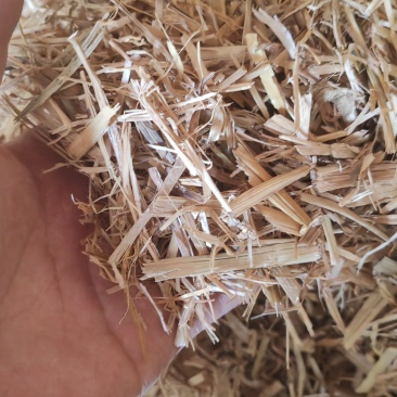 克拉斯闸段稻草