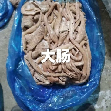 去油七八分熟，牛大肠，牛小肠，牛红肠，牛肠头