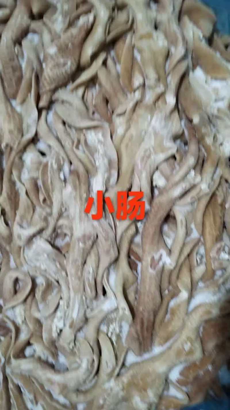 去油七八分熟，牛大肠，牛小肠，牛红肠，牛肠头