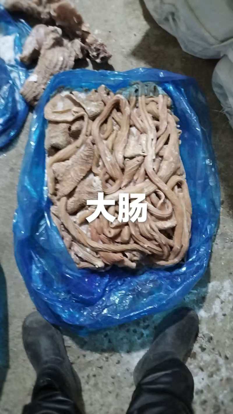 去油七八分熟，牛大肠，牛小肠，牛红肠，牛肠头