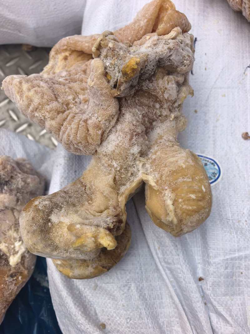 去油七八分熟，牛大肠，牛小肠，牛红肠，牛肠头