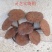 江西不苦长腿带粉紫灵芝