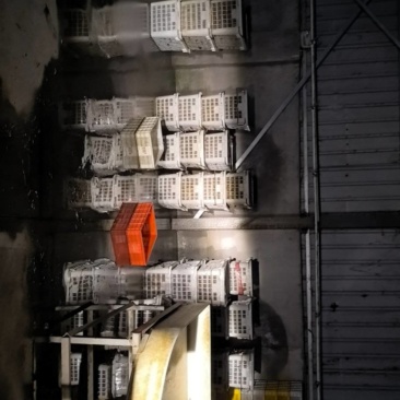 沭阳贤官精品小龙虾1500斤价格***********