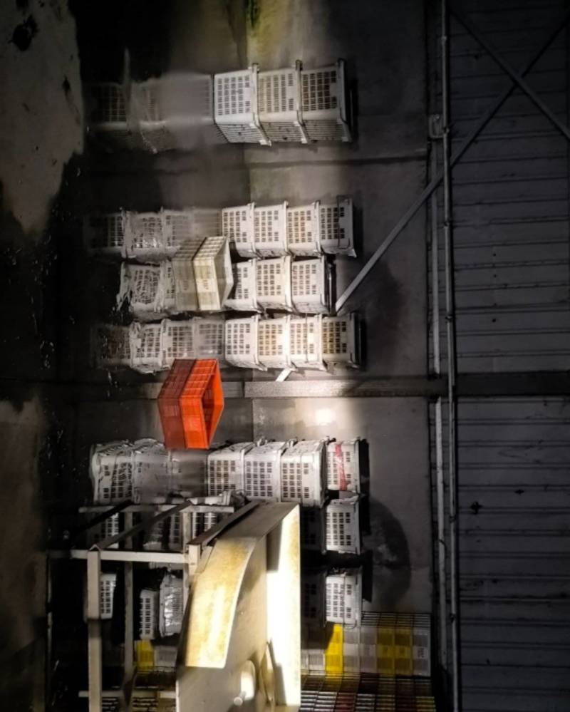 沭阳贤官精品小龙虾1500斤价格***********