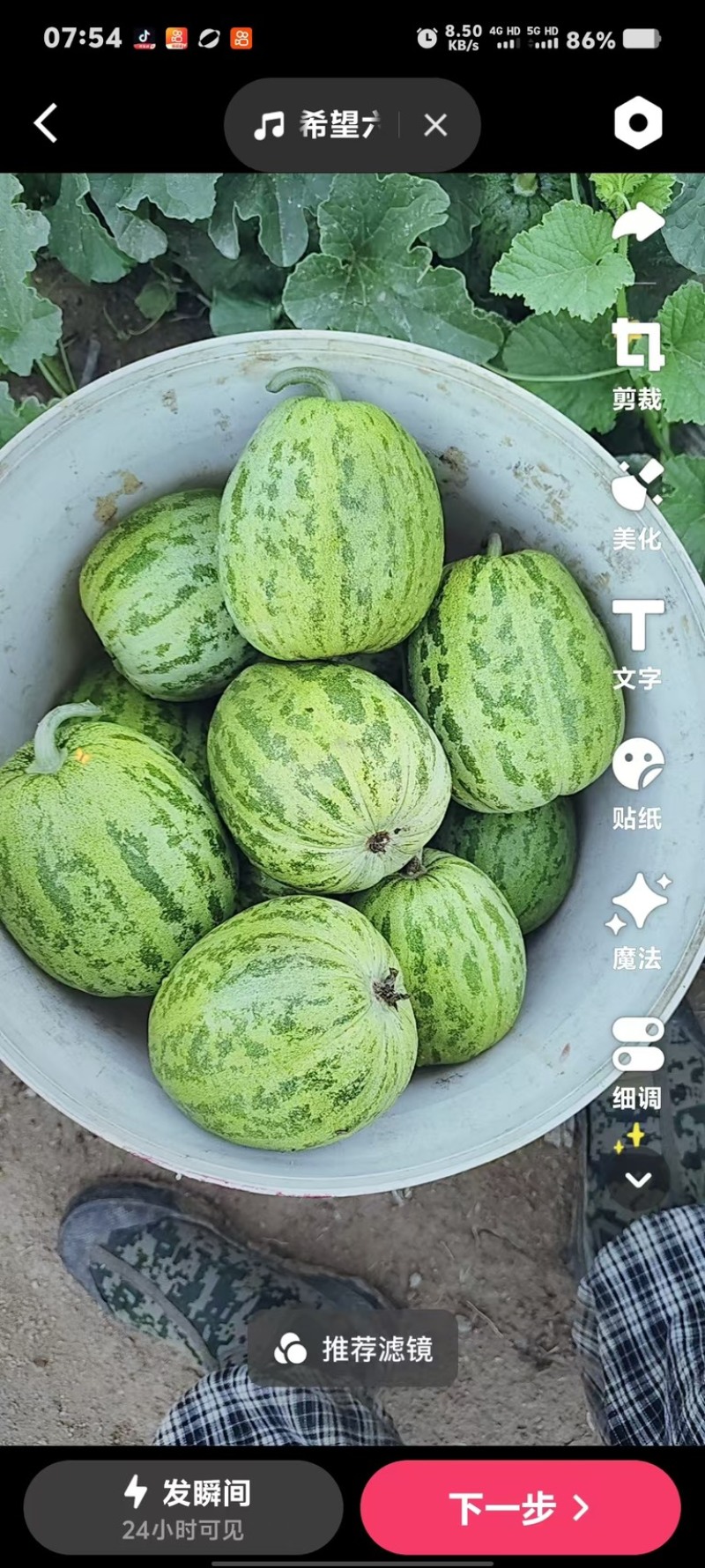 丑瓜