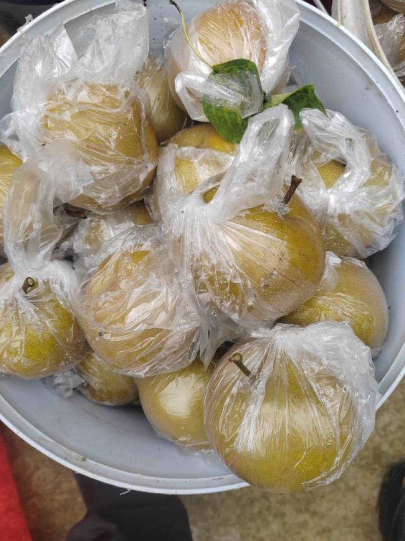 多品种，多规格批发，代收山鲜梨
