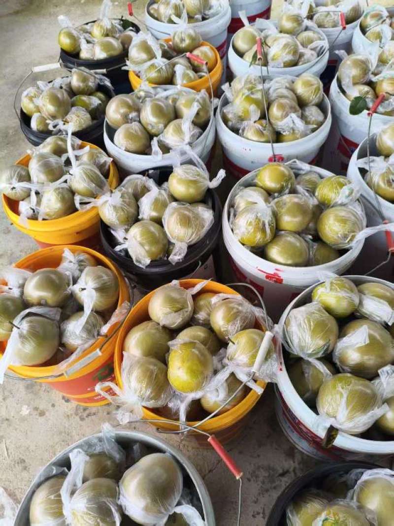 多品种，多规格批发，代收山鲜梨