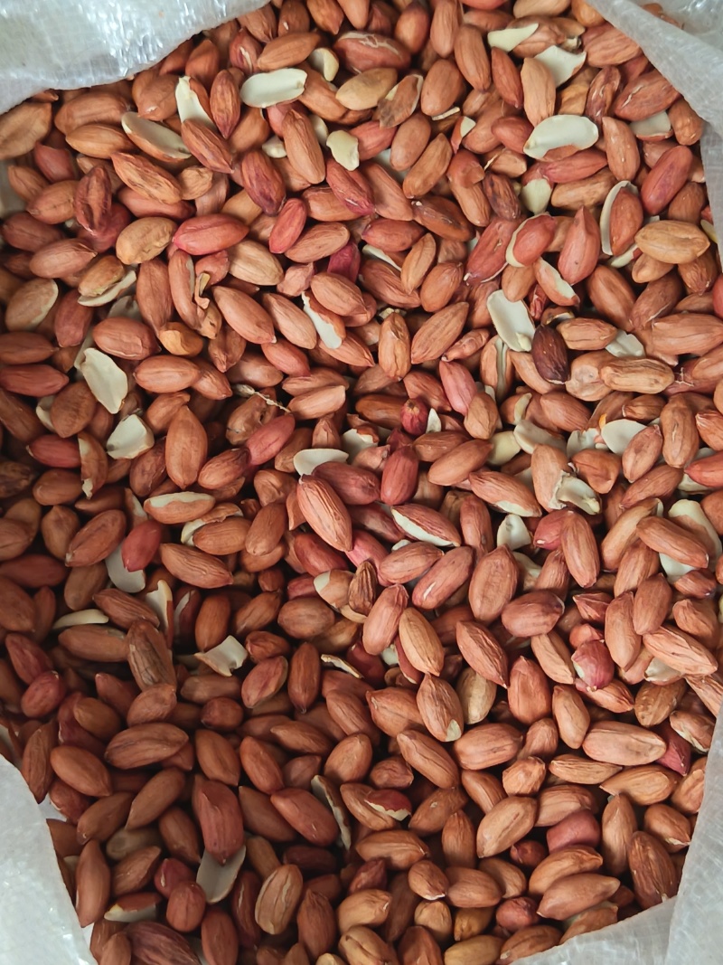 花生米油料米大花生米海花花生米榨油花生米