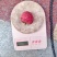 A4无核荔枝