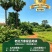 老挝万象精品地块推介