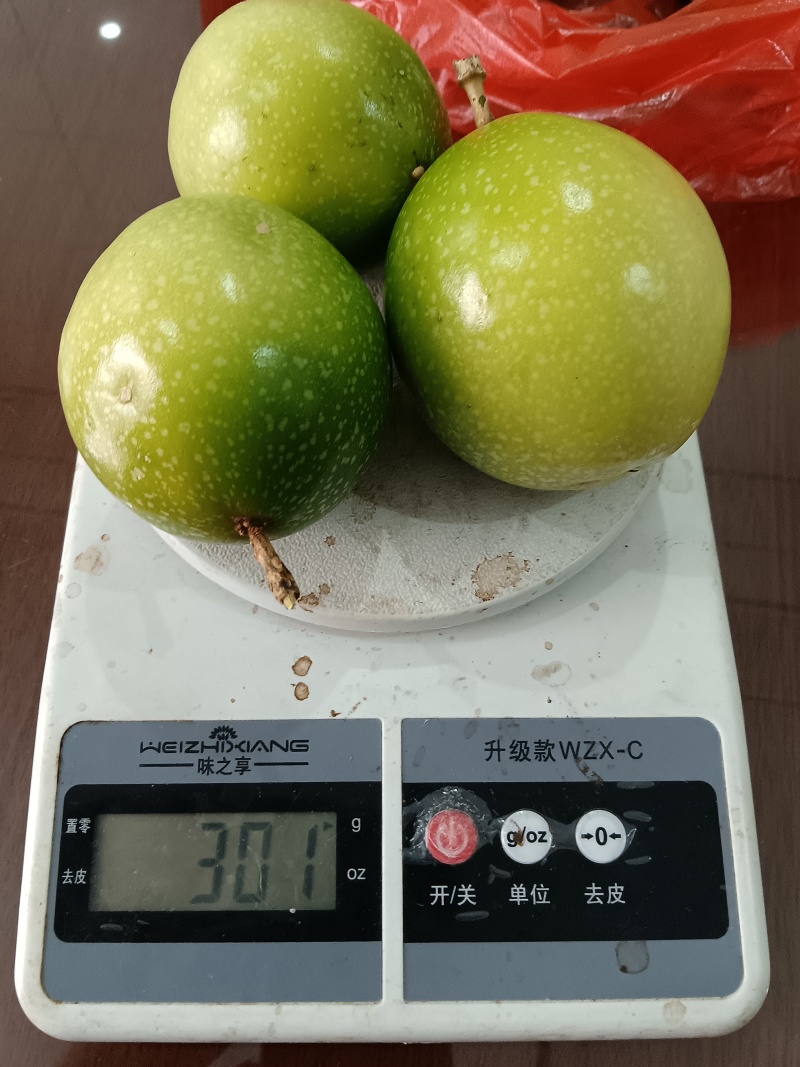 钦蜜九号百香果