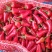 贵州高山新苗子弹头