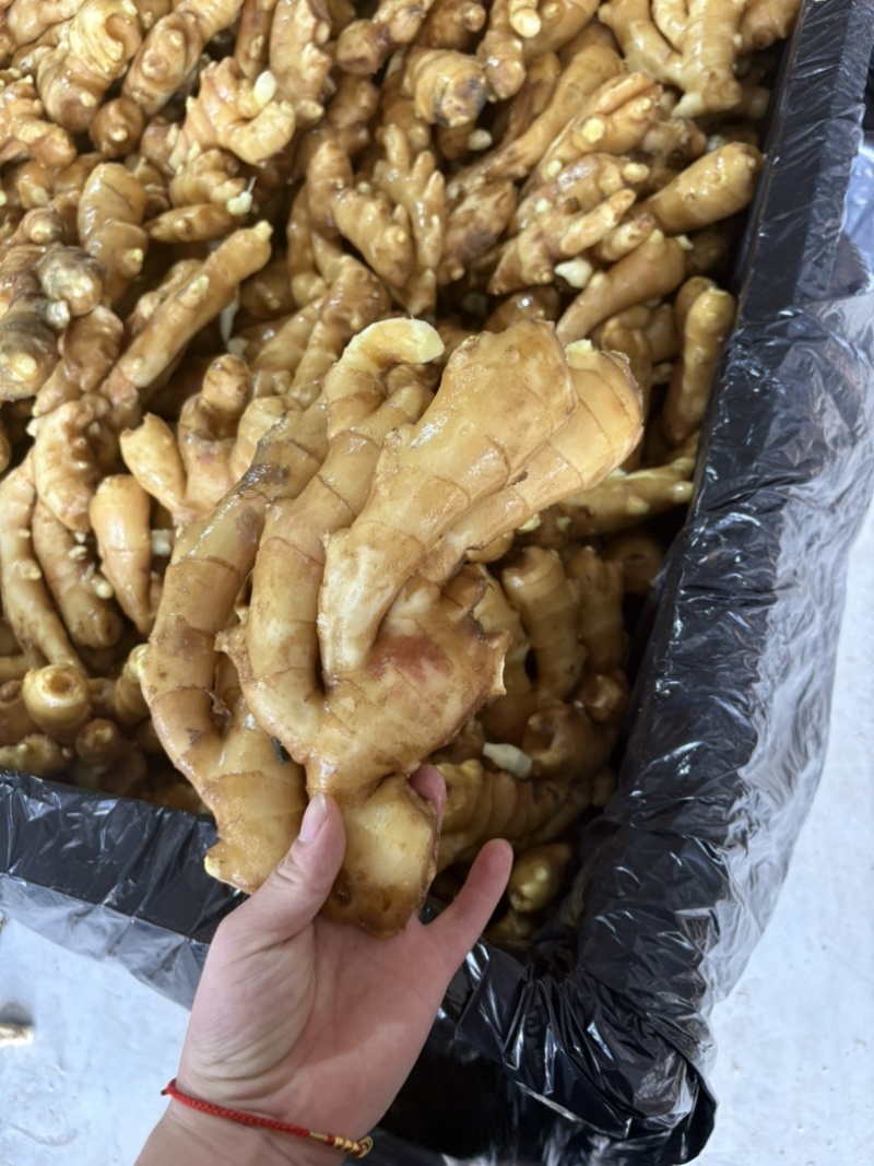 黄姜无农药残留电商货通货