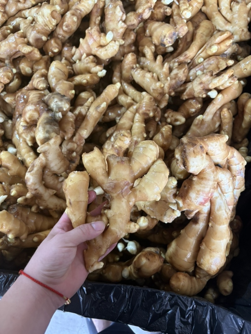 黄姜无农药残留电商货通货