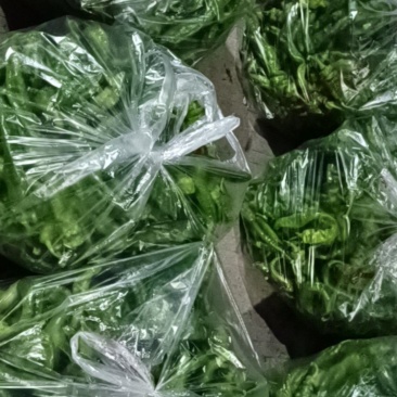 螺丝椒，红椒，泡椒