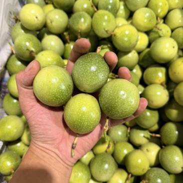 百香果接一件代发