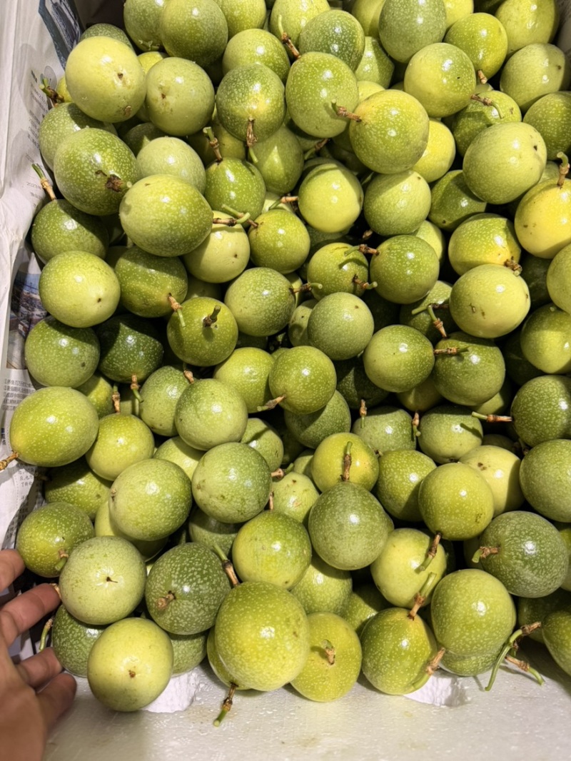 百香果接一件代发