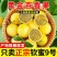 正宗钦蜜9号广西黄金百香果新鲜热带水果应季当季整箱批发
