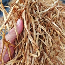 黄花菜干货农家干黄花菜商用新鲜金针菜晒干煲汤