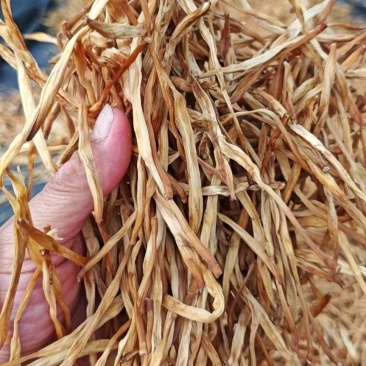 黄花菜干货农家干黄花菜商用新鲜金针菜晒干煲汤