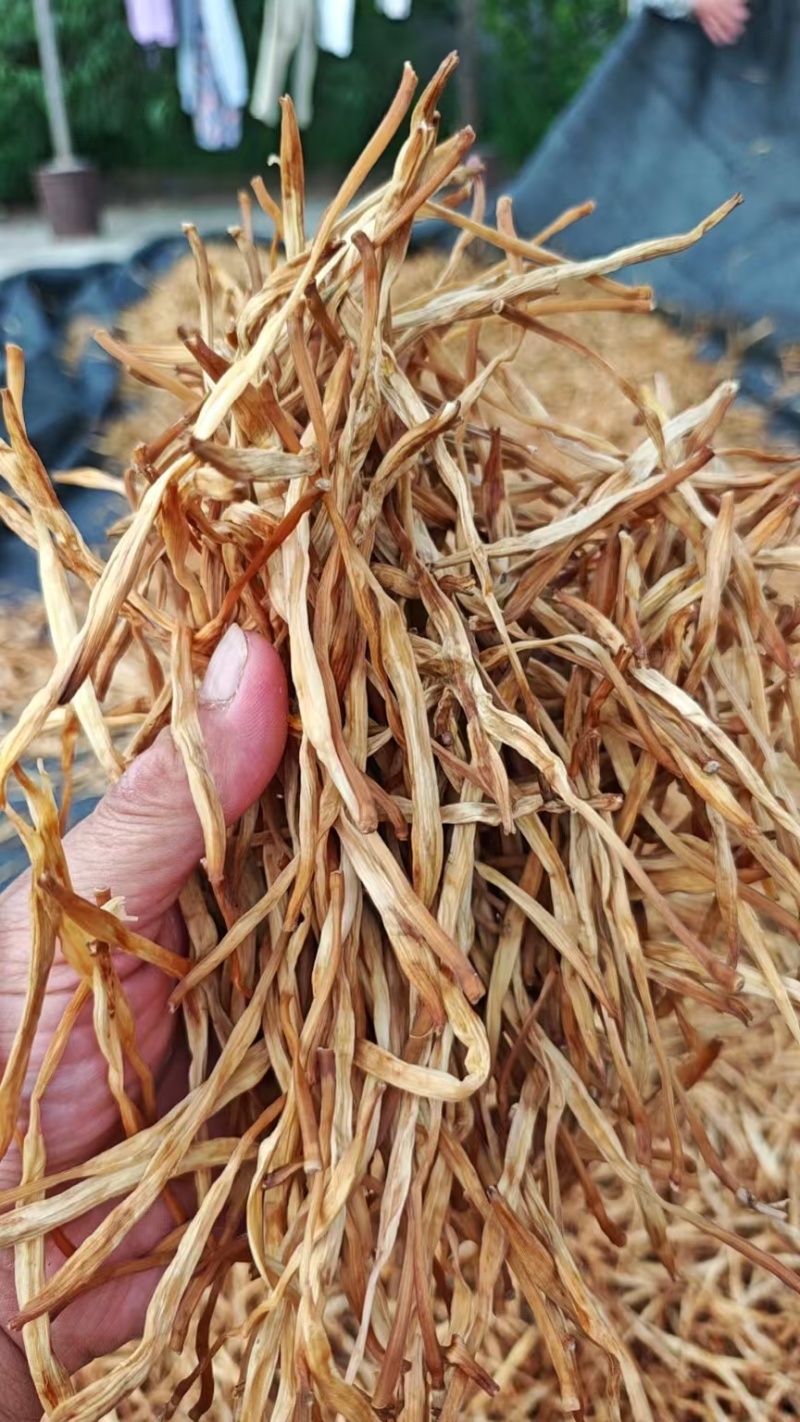 黄花菜干货农家干黄花菜商用新鲜金针菜晒干煲汤