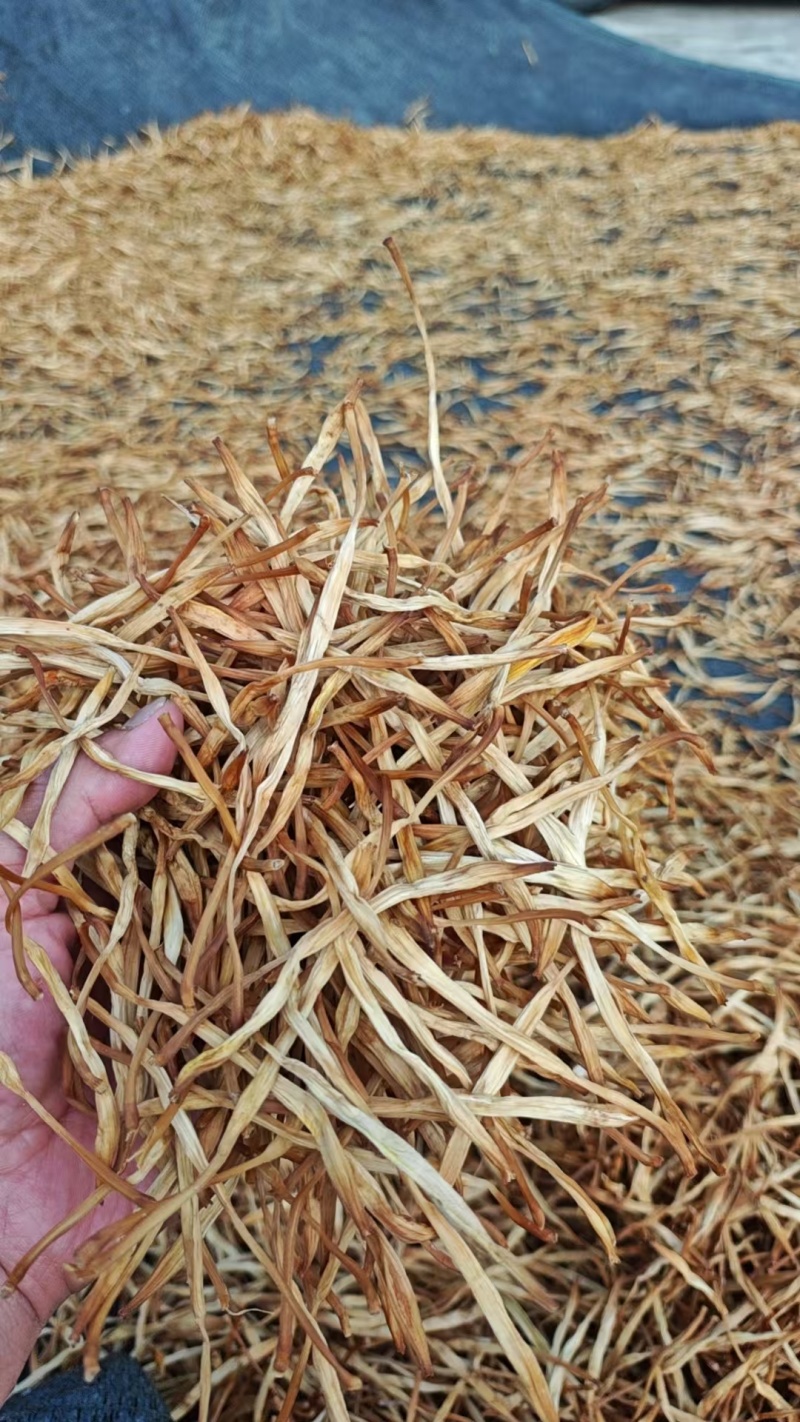 黄花菜干货农家干黄花菜商用新鲜金针菜晒干煲汤