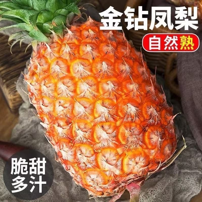 正宗金钻凤梨新鲜现摘云南应季水果孕妇凤梨
