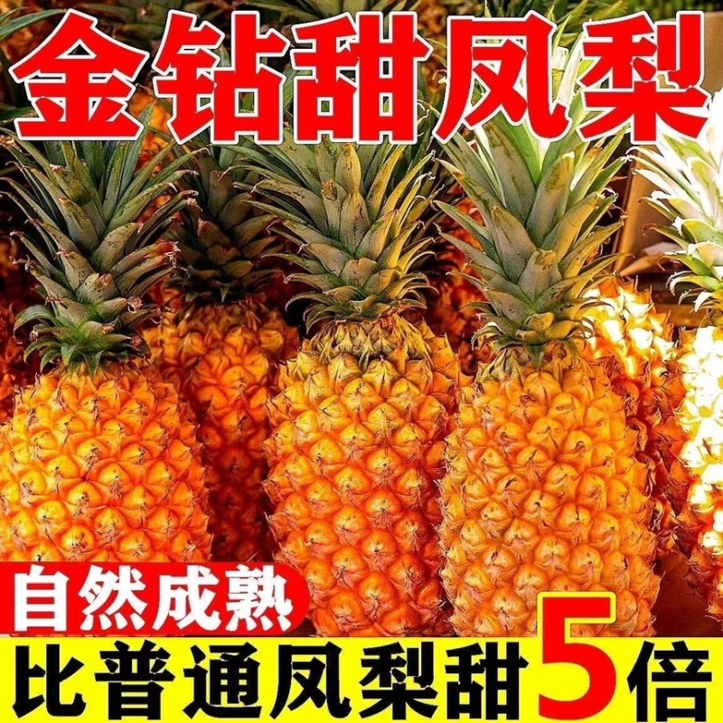 正宗金钻凤梨新鲜现摘云南应季水果孕妇凤梨