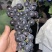 榨汁果汁厂专用果夏黑，果面干净，糖分含量高，颜色黑