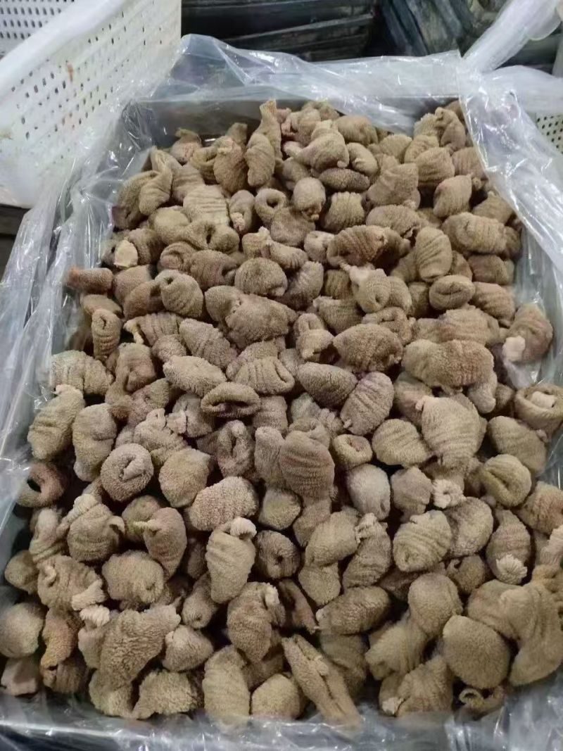 厂家预煮鸡蛋包头五吨