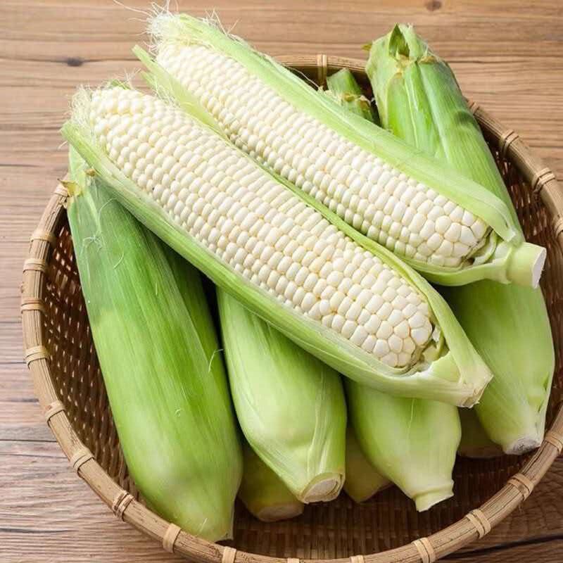 糯玉米