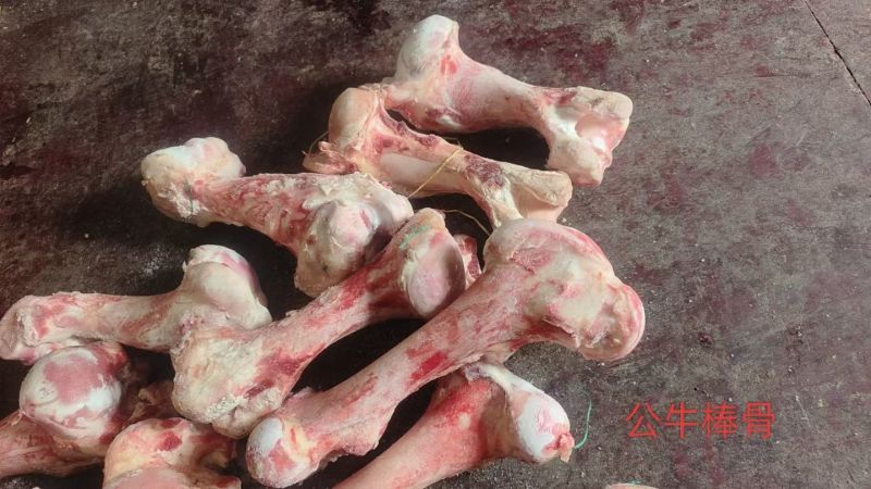 牛棒骨，25公斤一袋，国产货，工厂直发。