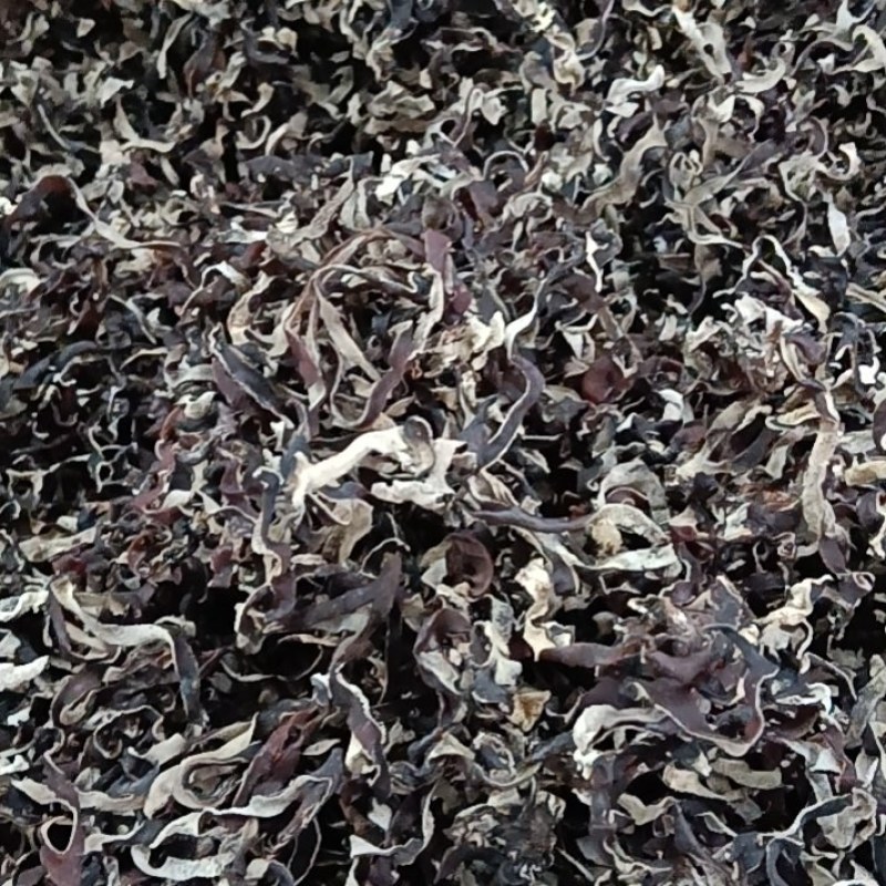 二茬木耳丝