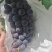 颜色好看果甜的京亚葡萄