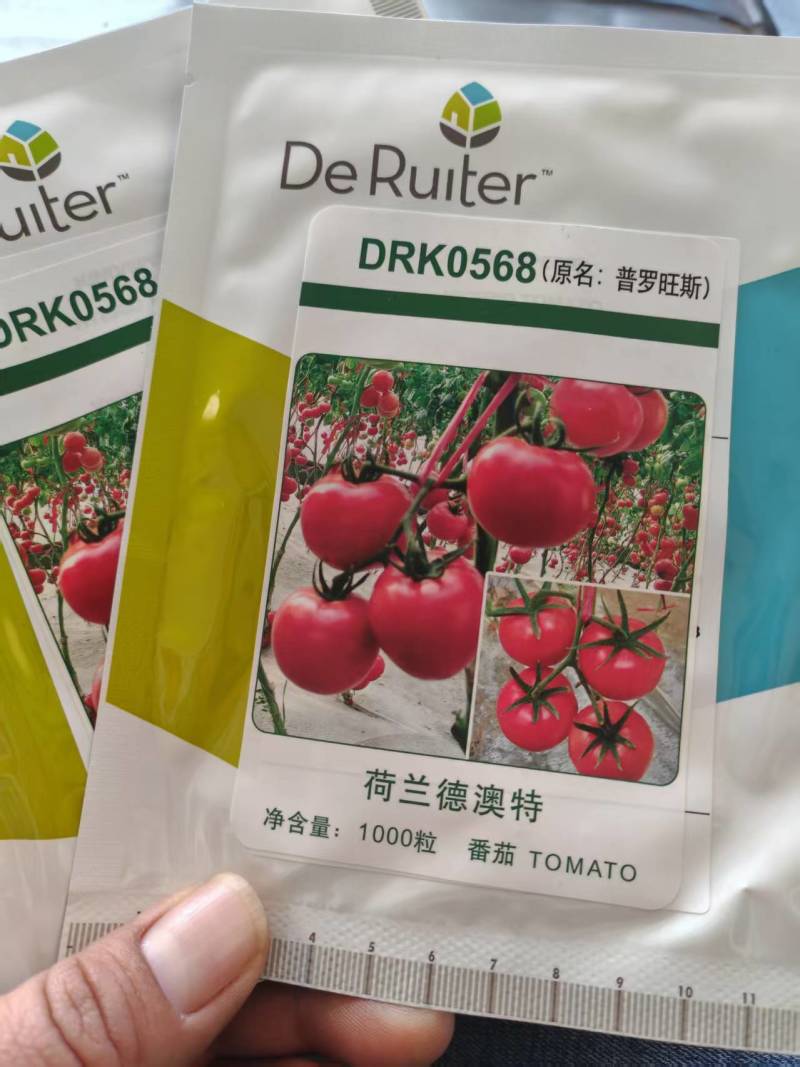 西红柿苗硬粉西红柿苗0.45-0.65元/棵;草莓番茄苗