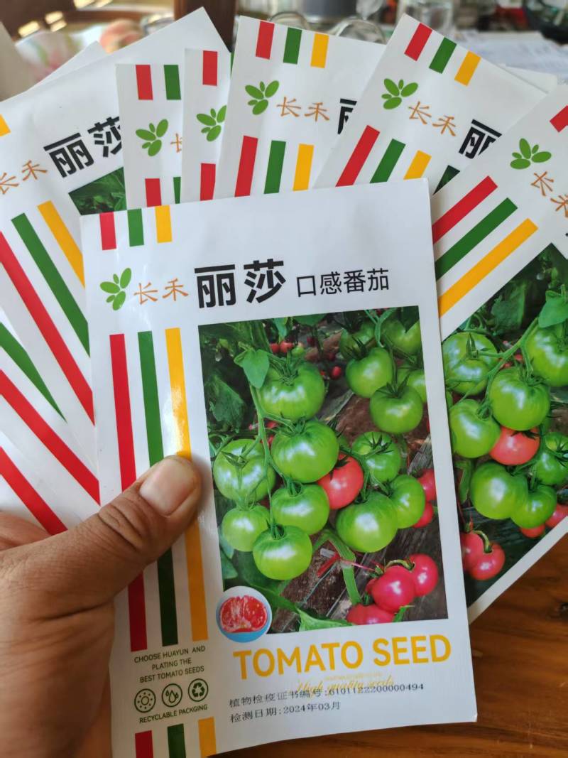 西红柿苗硬粉西红柿苗0.45-0.65元/棵;草莓番茄苗